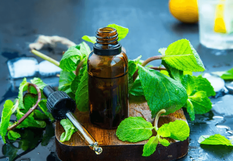 How To Use Peppermint Oil With Traps For Mice - Midway Pest Management