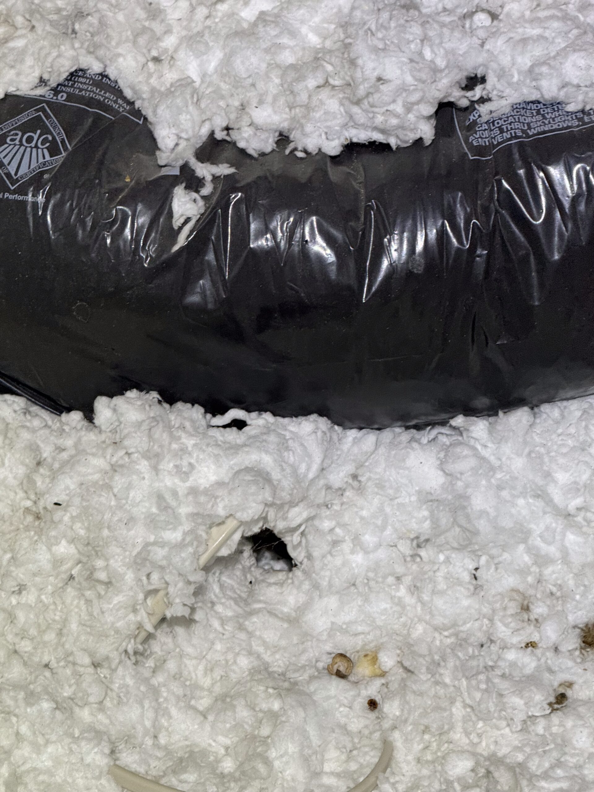 Mouse burrow near HVAC air supply in attic
